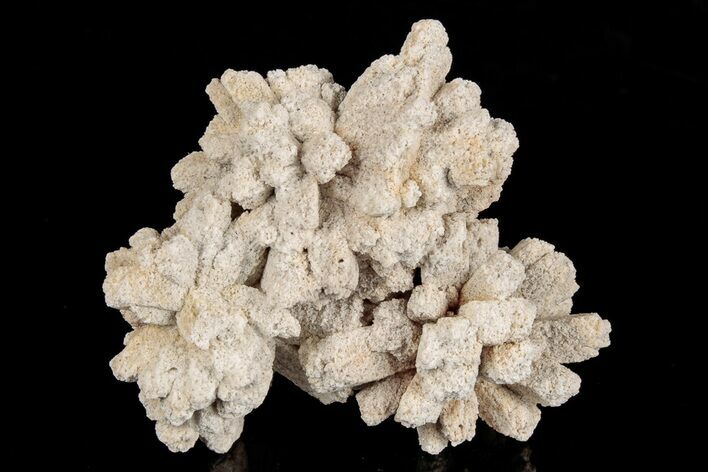 Radiating, Sand Celestine (Celestite) Crystals - Kazakhstan #193442